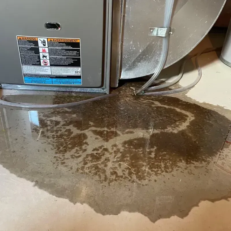 Appliance Leak Cleanup in Bell Gardens, CA